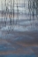 Picture of MI, CLOUD REFLECTIONS AND REEDS IN THORNTON LAKE