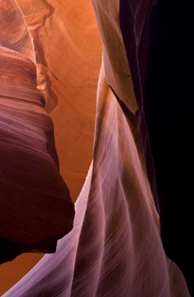 Picture of AZ, UPPER ANTELOPE CANYON PATTERNS IN SANDSTONE