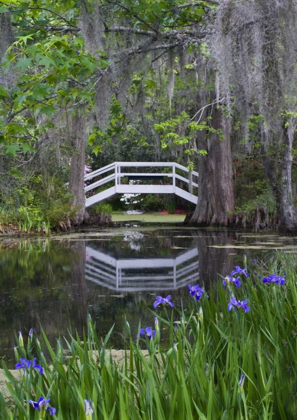Picture of SOUTH CAROLINA, WOOD FOOTBRIDGE REFLECTS IN POND