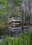 Picture of SOUTH CAROLINA, WOOD FOOTBRIDGE REFLECTS IN POND