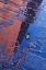 Picture of MEXICO STREET WATER PUDDLE WITH LAMP REFLECTION