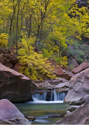 Picture of UT, ZION VIRGIN RIVER WATERFALL AND THE NARROWS