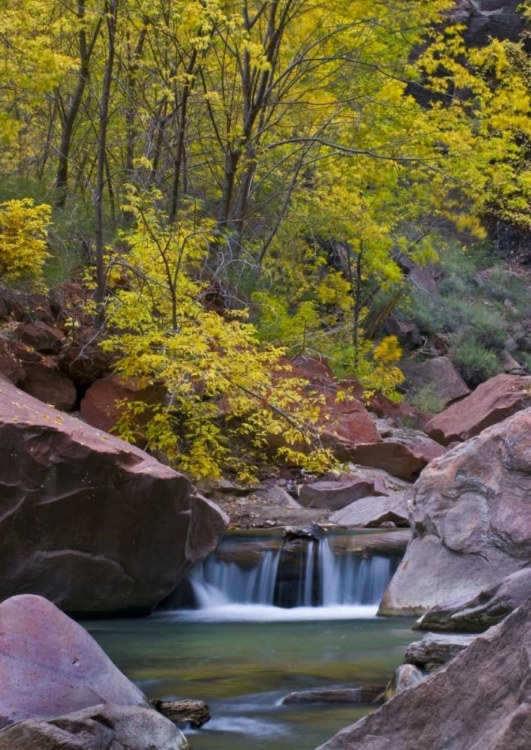 Picture of UT, ZION VIRGIN RIVER WATERFALL AND THE NARROWS