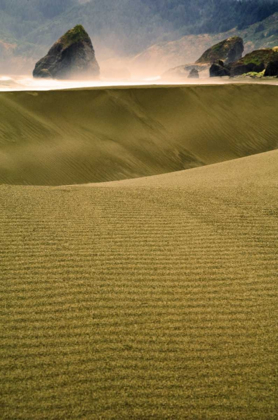 Picture of USA, OREGON SAND DUNES IN LATE LIGHT ALONG COAST