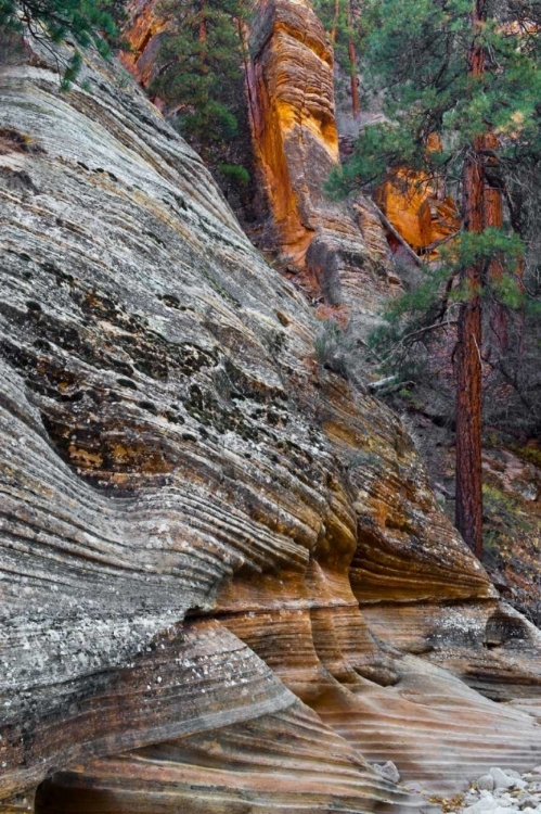 Picture of UTAH, ZION NP ROCK FORMATIONS IN RED ROCK CANYON