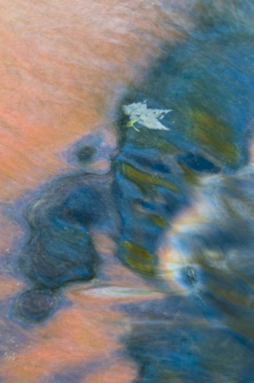 Picture of MICHIGAN, UPPER PENINSULA BOND FALLS REFLECTIONS