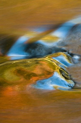 Picture of MICHIGAN, UPPER PENINSULA BOND FALLS REFLECTIONS