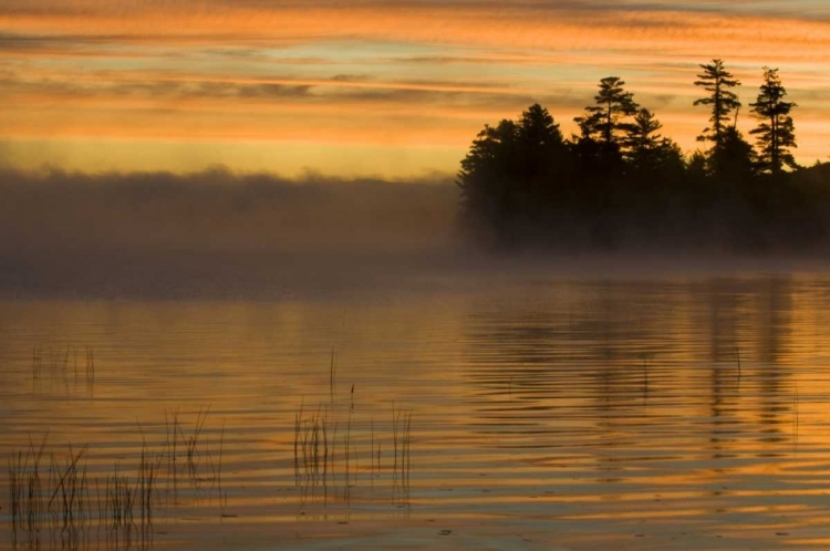 Picture of NEW YORK, ADIRONDACK MTS RACQUETTE LAKE, SUNRISE