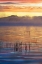 Picture of NEW YORK, ADIRONDACK MTS RACQUETTE LAKE, SUNRISE