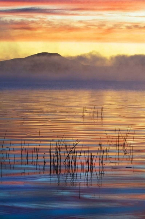 Picture of NEW YORK, ADIRONDACK MTS RACQUETTE LAKE, SUNRISE