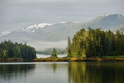 Picture of ALASKA, INSIDE PASSAGE FOGGY FOREST AND MOUNTAIN
