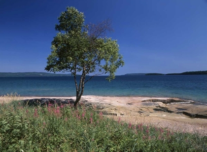 Picture of CANADA, ONTARIO, LAKE SUPERIOR