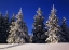 Picture of CANADA, MANITOBA, RIDING MOUNTAIN NP