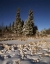 Picture of CANADA, MANITOBA, RIDING MOUNTAIN NP