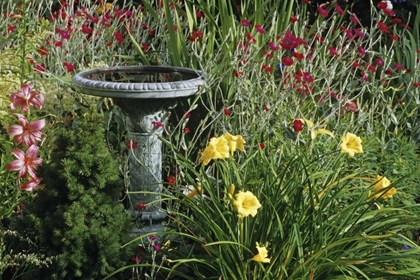 Picture of CANADA, MANITOBA, FOUNTAIN IN GARDEN