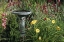 Picture of CANADA, MANITOBA, FOUNTAIN IN GARDEN