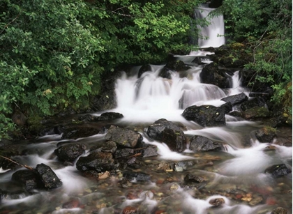 Picture of CANADA, BC, PRINCE RUPERT, WATERFALL