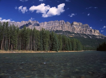 Picture of CANADA, ALBERTA, BOW VALLEY IN BANFF NP