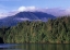 Picture of CANADA, BRITISH COLUMBIA, COASTAL FOREST