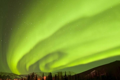 Picture of AK, FAIRBANKS AURORA BOREALIS FILL THE NIGHT SKY