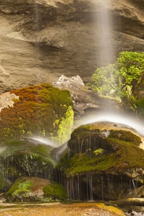 Picture of NEW ZEALAND, PAPAROA NP WATERFALL STRIKING ROCKS