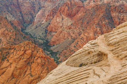 Picture of UTAH LANDSCAPE IN DIXIE NATIONAL FOREST