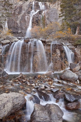 Picture of CANADA, ALBERTA, JASPER NP TANGLE FALLS