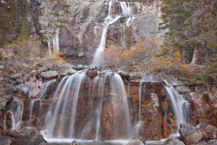 Picture of CANADA, ALBERTA, JASPER NP TANGLE FALLS