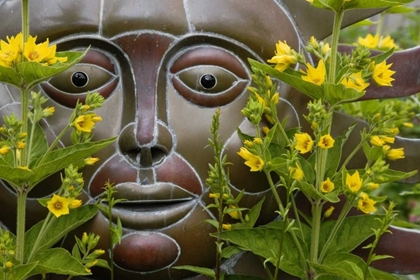 Picture of GARDEN ORNAMENT AMID LOOSESTRIFE FLOWERS