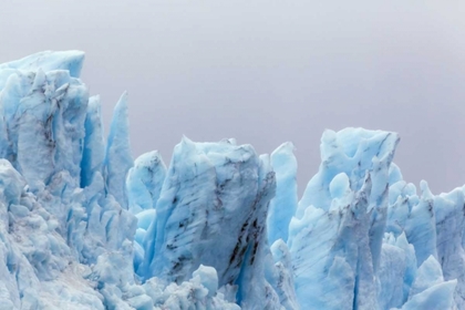Picture of ALASKA, GLACIER BAY NP MARGERIE GLACIER