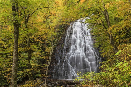 Picture of NORTH CAROLINA, CRABTREE FALLS IN AUTUMN