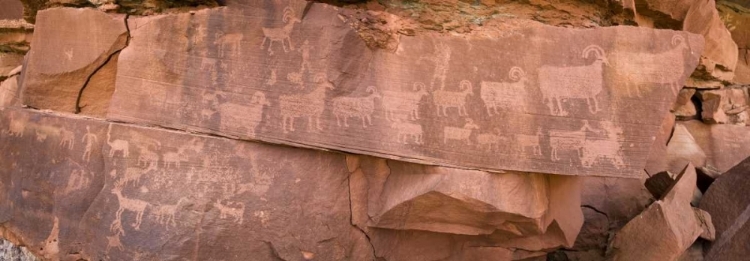 Picture of UT, CANYONLANDS NP PETROGLYPHS ON ROCKS