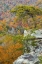 Picture of TN, FALL CREEK FALLS SP BUZZARDS ROOST