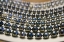 Picture of FRENCH POLYNESIA, BORA BORA CURTAIN OF PEARLS