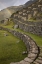 Picture of RAINBOWS OVER THE TERRACES, MACHU PICCHU, PERU