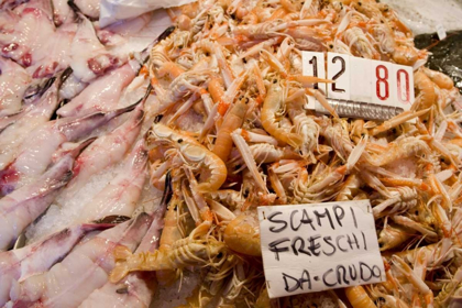 Picture of ITALY, VENICE SCAMPI AND OTHER FISH AT MARKET
