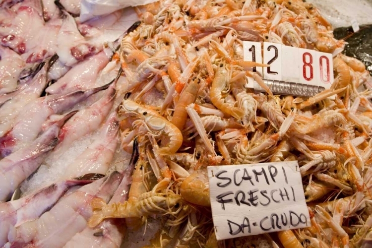 Picture of ITALY, VENICE SCAMPI AND OTHER FISH AT MARKET