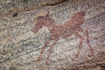 Picture of ROCK ART OF ZEBRA, SEVILLA TRAIL, SOUTH AFRICA