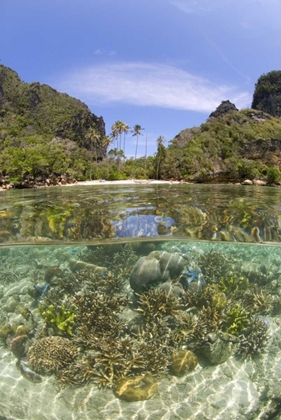 Picture of INDONESIA, MISOOL ISLAND SPLIT VIEW OF AN ISLAND