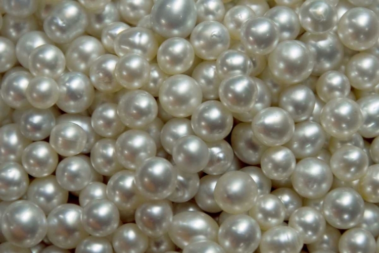 Picture of BOWL OF PEARLS, IRIAN JAYA, WEST PAPUA, INDONESIA