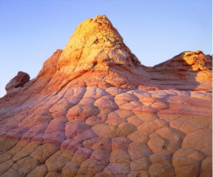 Picture of ARIZONA, PARIA CANYON