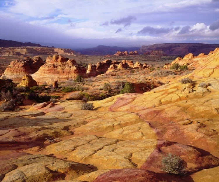 Picture of ARIZONA, PARIA CANYON