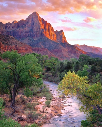 Picture of UTAH, ZION NP AT SUNSET