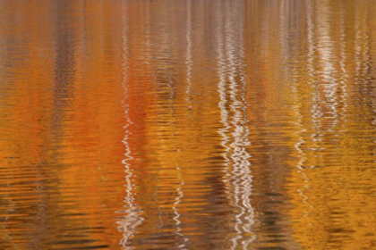 Picture of WA, WINTHROP AUTUMN REFLECTIONS ON BEAVER POND