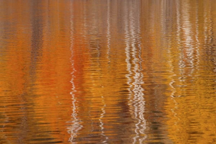 Picture of WA, WINTHROP AUTUMN REFLECTIONS ON BEAVER POND