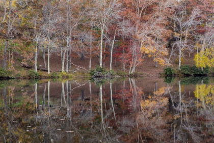 Picture of TN, CUMBERLAND MOUNTAIN SP BYRD LAKE, TENNESSEE