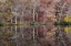 Picture of TN, CUMBERLAND MOUNTAIN SP BYRD LAKE, TENNESSEE