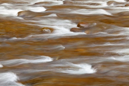 Picture of WA, OLYMPIC NP AUTUMN REFLECTS IN SOLDUC RIVER