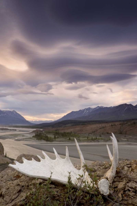 Picture of CANADA, BC, YUKON, MOOSE ANTLER AND LANDSCAPE