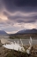 Picture of CANADA, BC, YUKON, MOOSE ANTLER AND LANDSCAPE